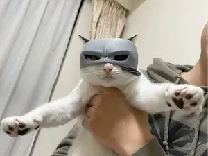 蝙蝠俠貓頭盔