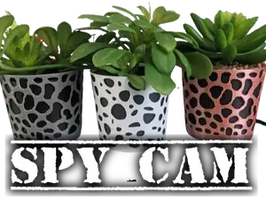 Planter spy cam