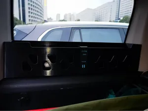 GWM TANK 300 rear window organizer
