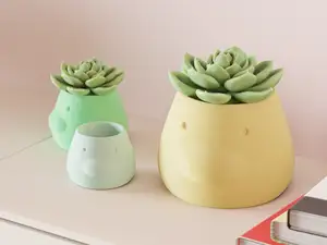 Cute Planter. Duck Design Plant Pot.