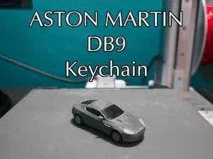 Aston Martin DB9 Keychain (PIP WW)