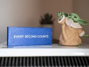 Every Second Counts from The Bear
