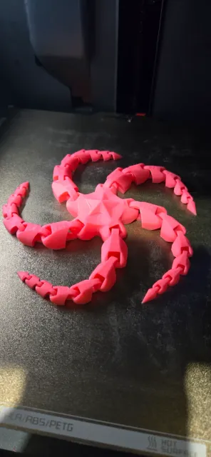 Articulating starfish — Фото 2 из 2