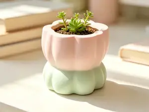 一个小花盆