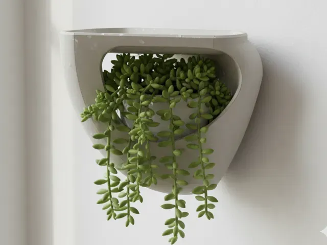 Estantería pared diseño moderno con planta