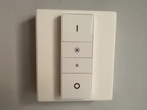 Phillips Hue Light Switch Cover & Mount
