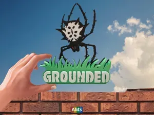 Grounded Schild mit Mutterspinne