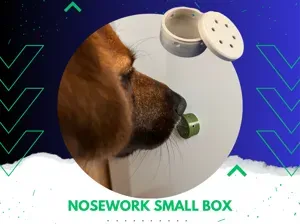 Mini Scent Training Containers – Nosework 25×15 mm