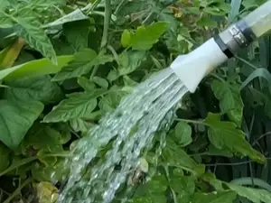 Water Can Shower Spout 3/4 NPT