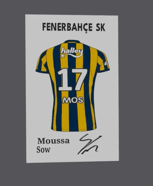 Super lig - Fenerbahce SK Moussa Sow jersey — Фото 6 из 6