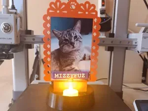 Ofrenda mascota