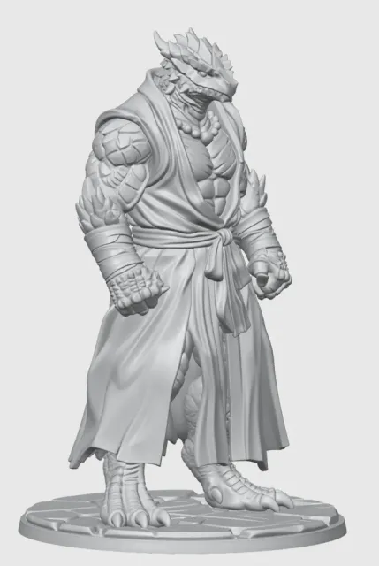 Monk Dragonborn D&D Miniature (45mm) — Фото 9 из 12