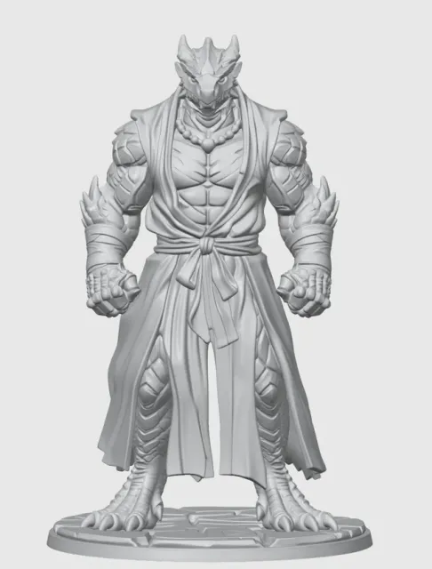 Monk Dragonborn D&D Miniature (45mm) — Фото 8 из 12