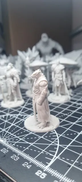 Monk Dragonborn D&D Miniature (45mm) — Фото 7 из 12