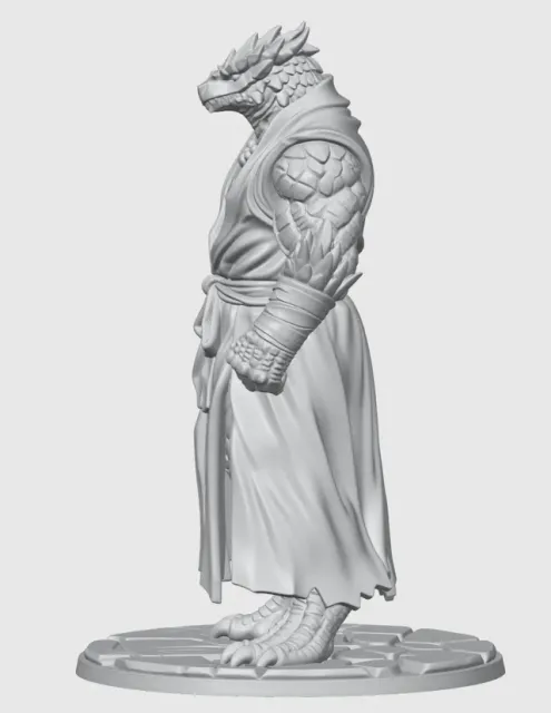 Monk Dragonborn D&D Miniature (45mm) — Фото 12 из 12