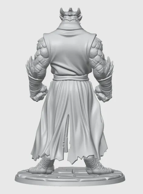 Monk Dragonborn D&D Miniature (45mm) — Фото 11 из 12