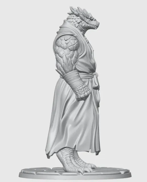 Monk Dragonborn D&D Miniature (45mm) — Фото 10 из 12