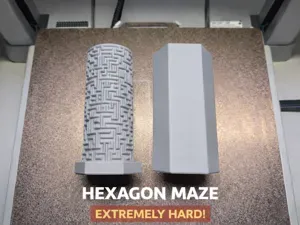 Hexagon Maze Puzzle Box - Extremely Hard!!
