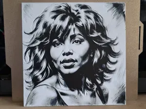 Tina Turner - Hueforge