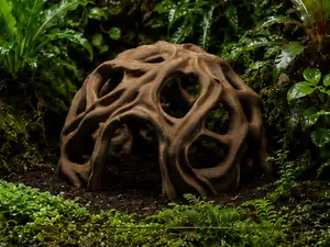 Organic Root Dome Hideout - Terrarium & Aquarium