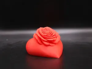 Heart Embraced Rose – A Symbol of True Affection