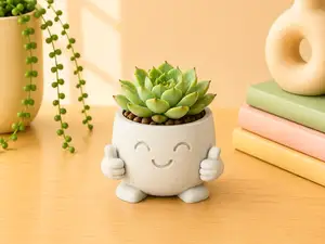 Mood Buddies Pot – Planter Collection | OK, Okkei