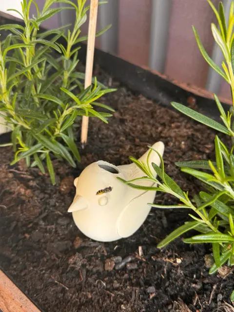 Bird Self-Watering Spike — Фото 2 из 5