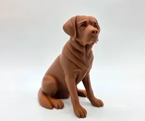 Seated Labrador Retriever