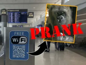 Free WiFi Prank Sign – QR Code Joke