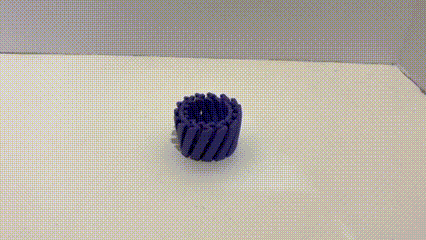 Expanding Fidget Ring Circle - Print in Place