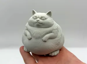 Proud Chonk Cat