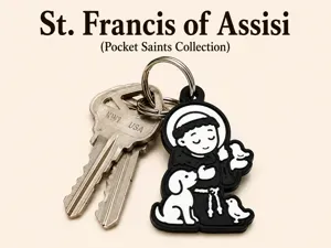 St. Francis of Assisi (Pocket Saints Collection)