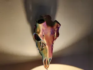 "Fallow" Deer Skull Antler Mount - Snap/Lock
