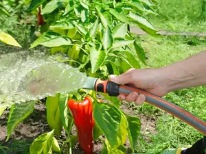 Garden Wide-Spray Nozzle