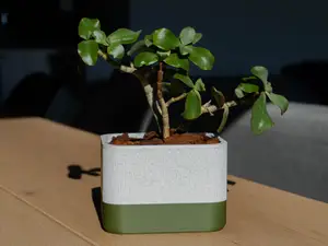 Self-Watering Flower Pot – Two-Tone Design