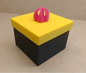 Screw You Gift Box