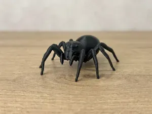 The Most Realistic Spider – Jumping Spider
