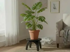 Minimalist Plant Stand Arch - Plant Riser