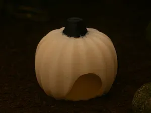 Pumpkin Hide