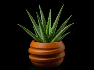 Sammy | Organic Ribbed Planter Vase
