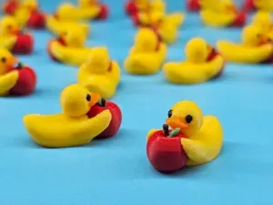 Mack the Apple Duck