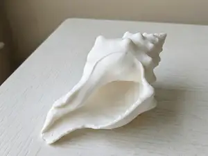 Realistic Spiral Conch Shell - Ocean Decor