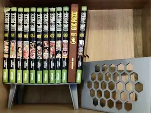 Manga riser for shelf