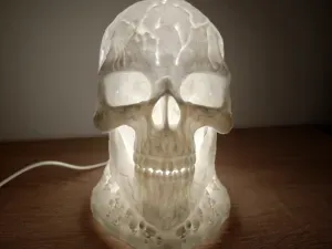 Skull Lamp for LED Lamp Kit
