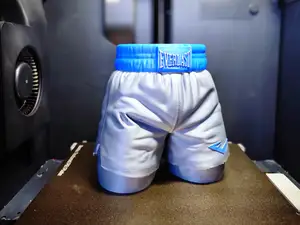 Boxing Shorts Desk Holder