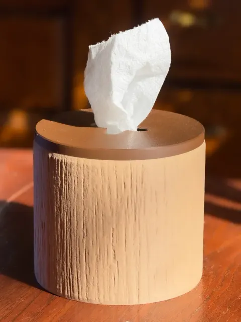 The Revolutionaries' Toilet Paper Tissue Box — Image 5 of 17