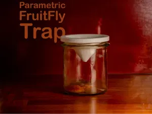 Parametric fruit fly trap