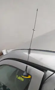 Car antenna holder