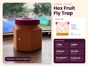 Hex Fruit Fly Trap – Screw-Top Jar