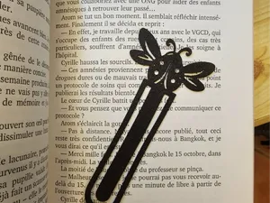 Signet Coccinelle